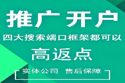 竞价托管与SEO结合的案例分析