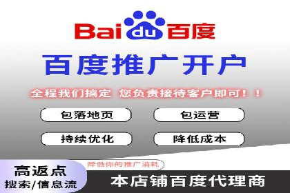 百度推广案例：精准广告投放策略解析